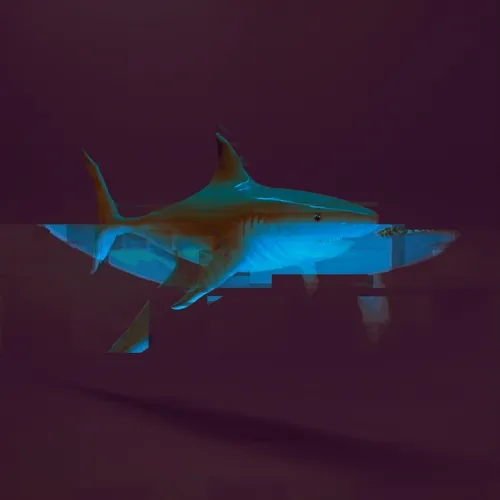 Rave Sharks