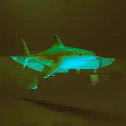 Rave Shark 020