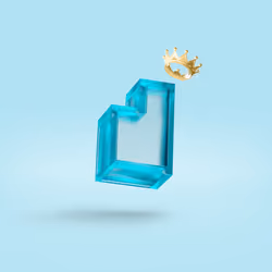 Item Media
