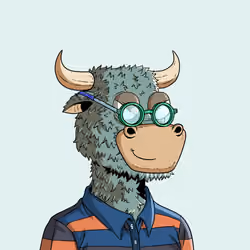 BullS Degen