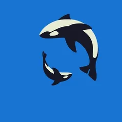 Orcas Killer whales #1129
