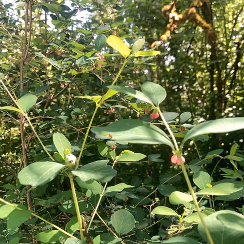 Unidentified contract ee1f9ee2-22b3-4079-ac55-ab50cd959fbf