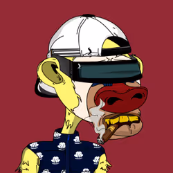 84