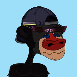 43