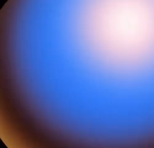 Zora Posts 24360