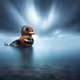 Longexposure Rodeo posts