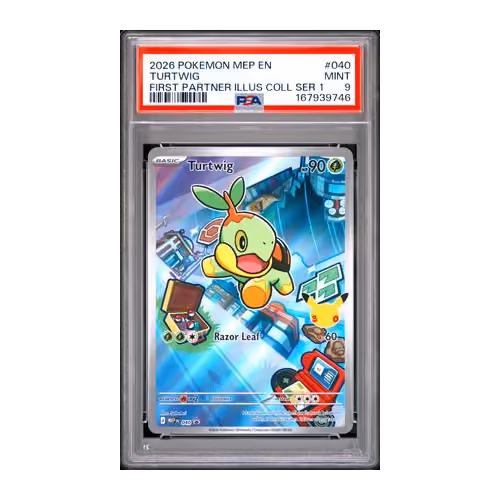 Item #384 Media