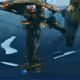 Pirate Junker