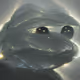 194