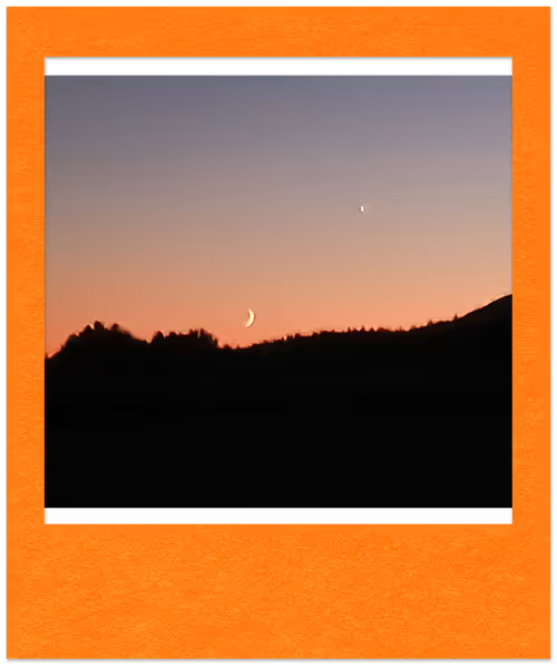 Item #7172968000000000 Media