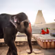 Hampi