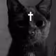 wowkitty