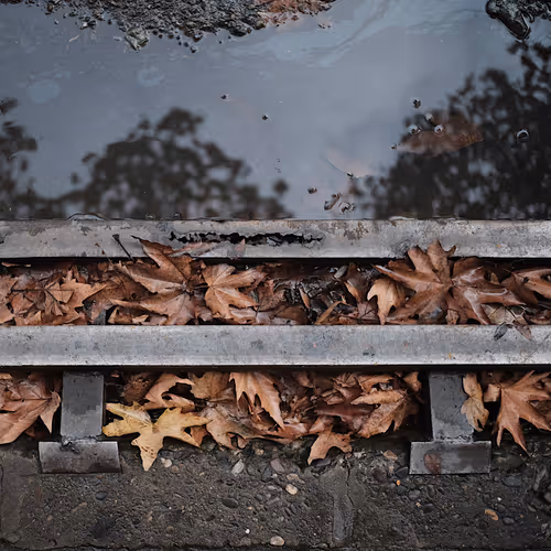 Leaves in quiet chains #3