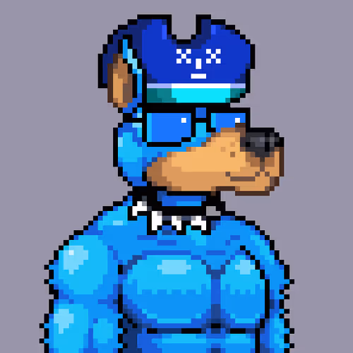 SkyDog #37