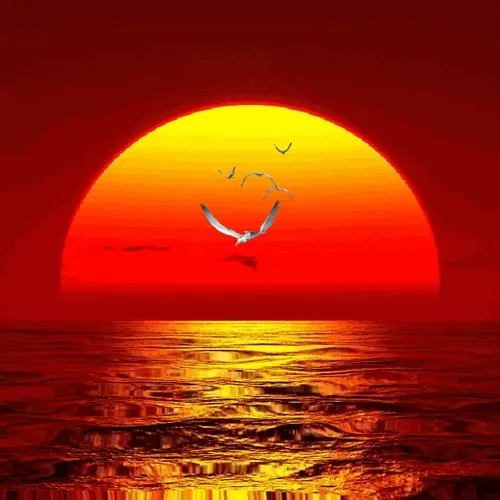 Dawn 66