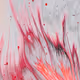531