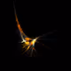 The Alchemy of Light