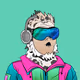 Shredding Sassy #2145