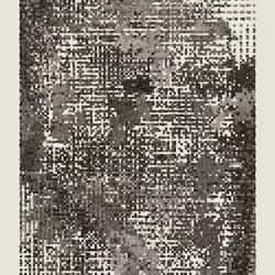 79