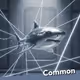 Shark ID