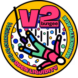 Bungee V2 Launch