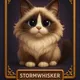 STORMWHISKER