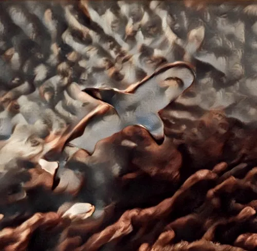 Seascape motion