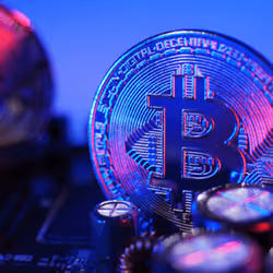 BTC x 25 #365