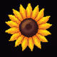 Pixel Bloom