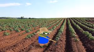 Rodeo posts