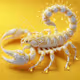 SCORPIAN