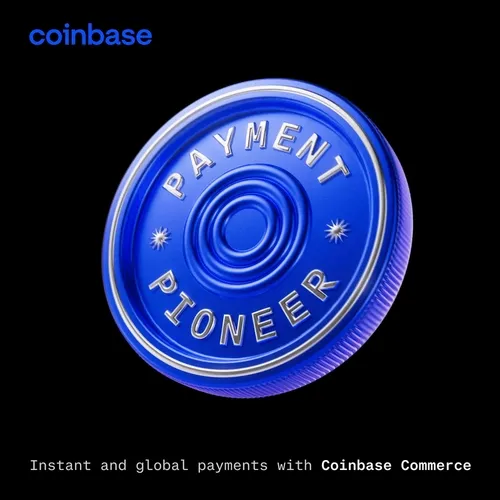 Payment Pioneer 43339