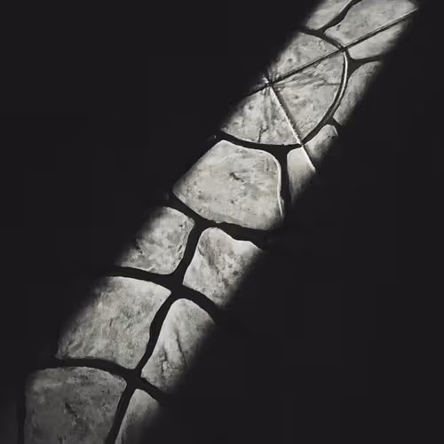 Light 388