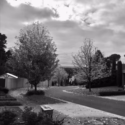 Fallen Leaves, Faded Time