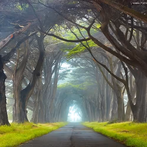 Nature 2983