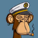 BoringApe #3074