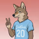 20