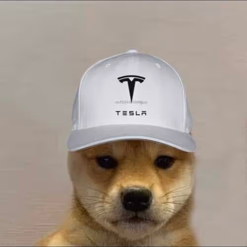 Dogwifhat