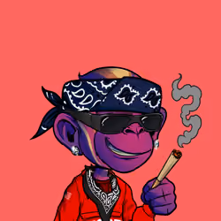 Hood Apes #896