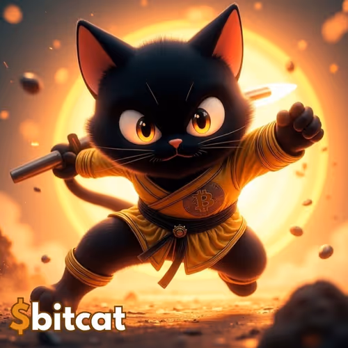 bitcat