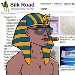 7511