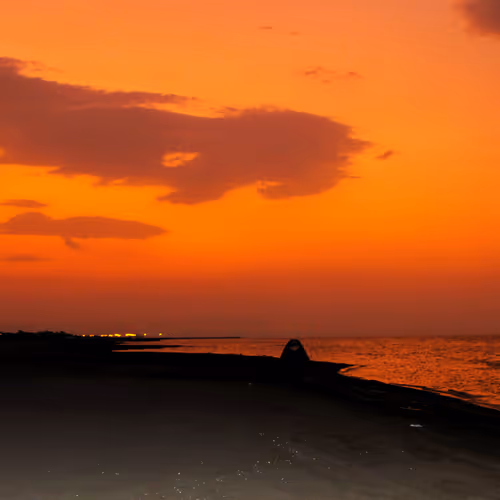 Sunset 1203