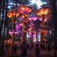 Electric Forest Co-Creation