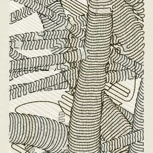 Aux Arbres #4260