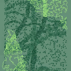 Aux Arbres #70162