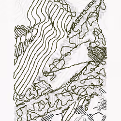 Aux Arbres #5931