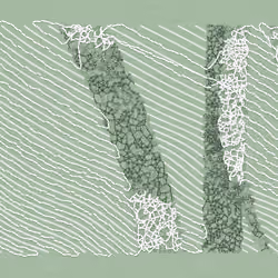 Aux Arbres #665