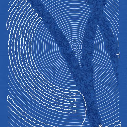 Aux Arbres #1560