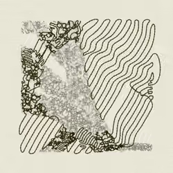 Aux Arbres #4480