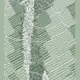 244